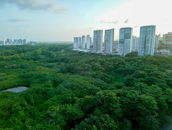 Libération et Santé des Femmes : Éclairons les Droits Reproductifs