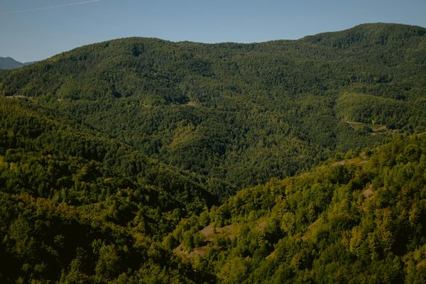 Propriétaire immobilier : comment tirer parti du marché en 2025 ?